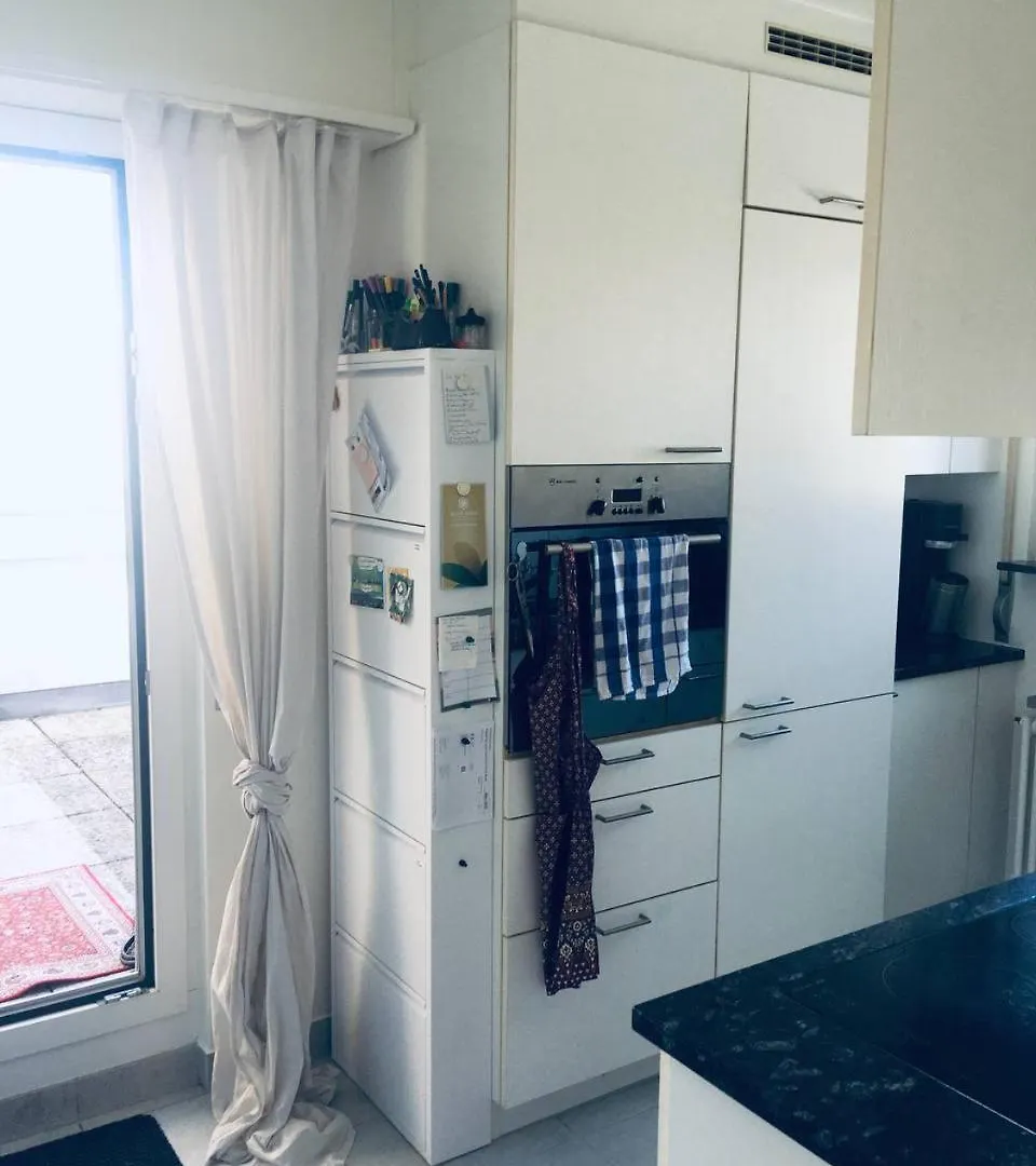 Unique Little House On A Roof Top With A Huge Terrace Close To Exhibition Square 巴塞尔 公寓