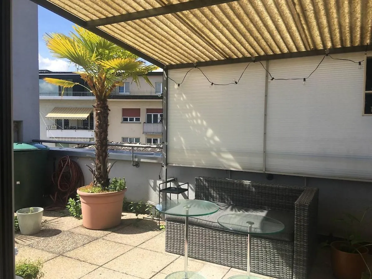 Unique Little House On A Roof Top With A Huge Terrace Close To Exhibition Square 巴塞尔