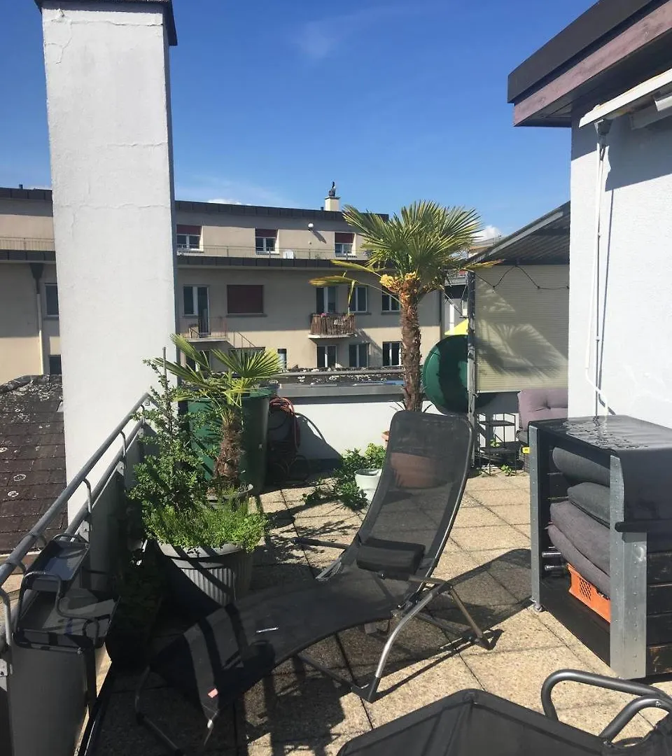 Unique Little House On A Roof Top With A Huge Terrace Close To Exhibition Square 巴塞尔 0*,  瑞士