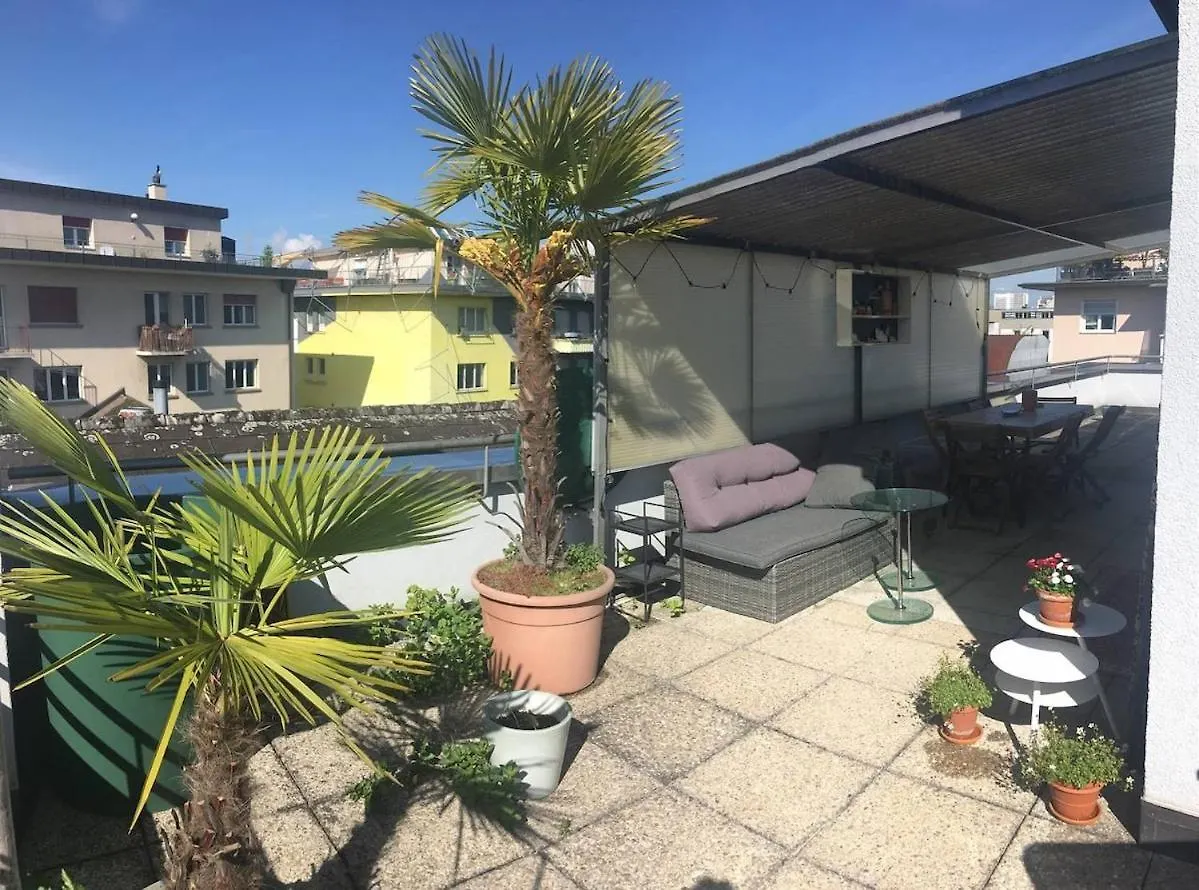 Unique Little House On A Roof Top With A Huge Terrace Close To Exhibition Square 巴塞尔 公寓
